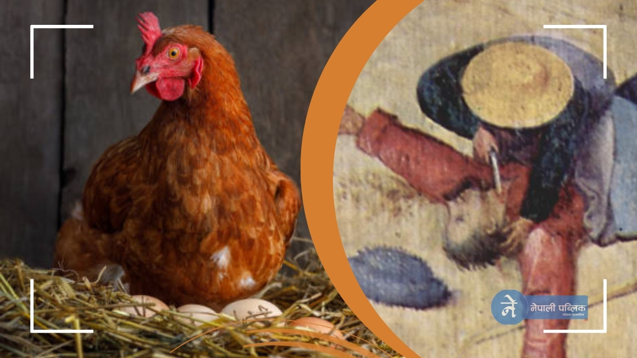 कुखुरा पहिला आयो की अण्डा ?  जवाफ नदिँदा आफ्नै साथीले १५ पटक चक्कु घोपिदिए